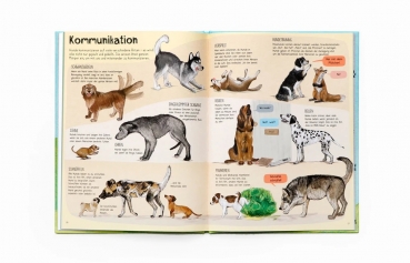Das Hunde-Buch